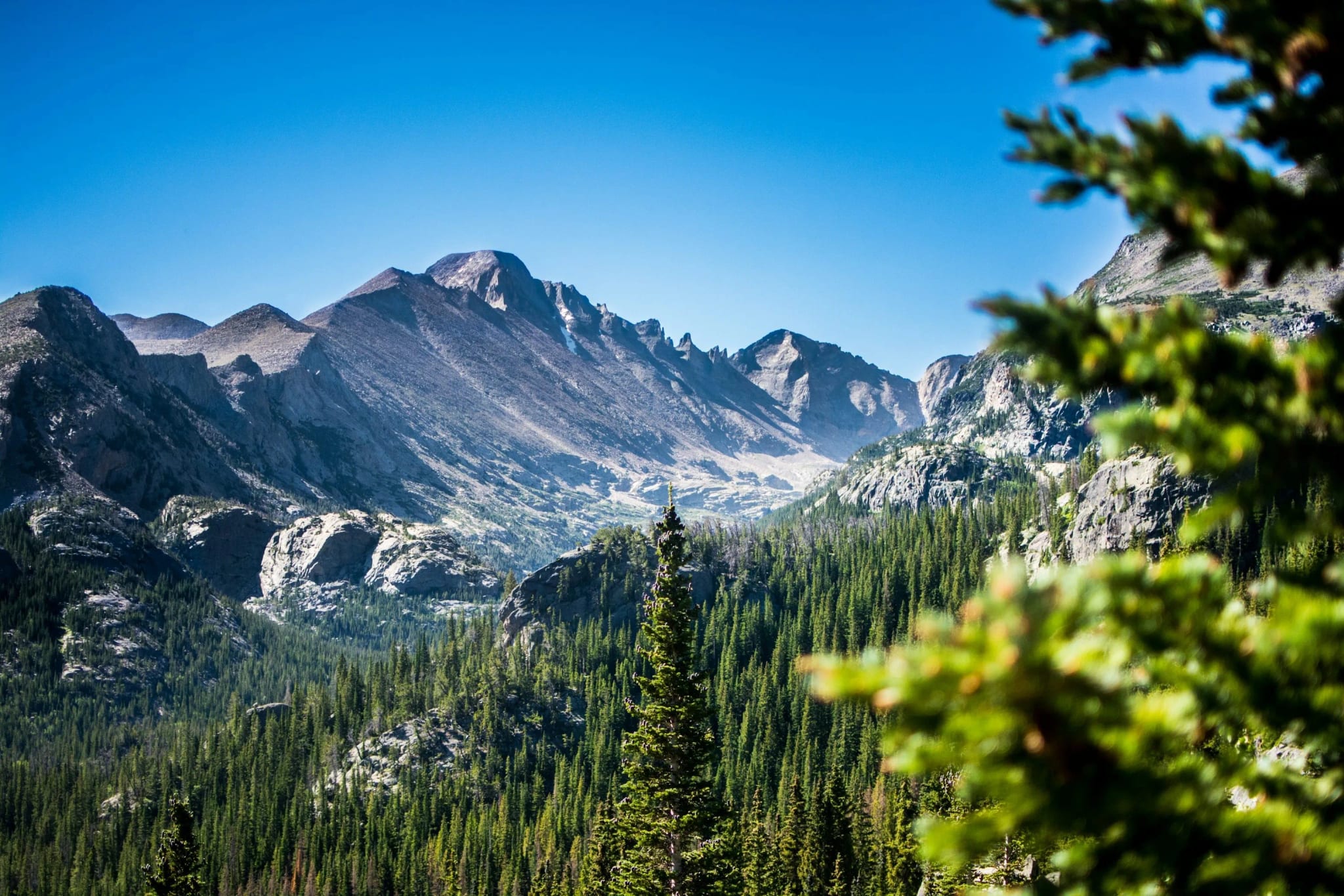 Mountain view in Aspen Colorado with pine trees and clear skies